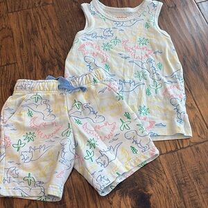 Boys 2 piece Cat & Jack dinosaur set